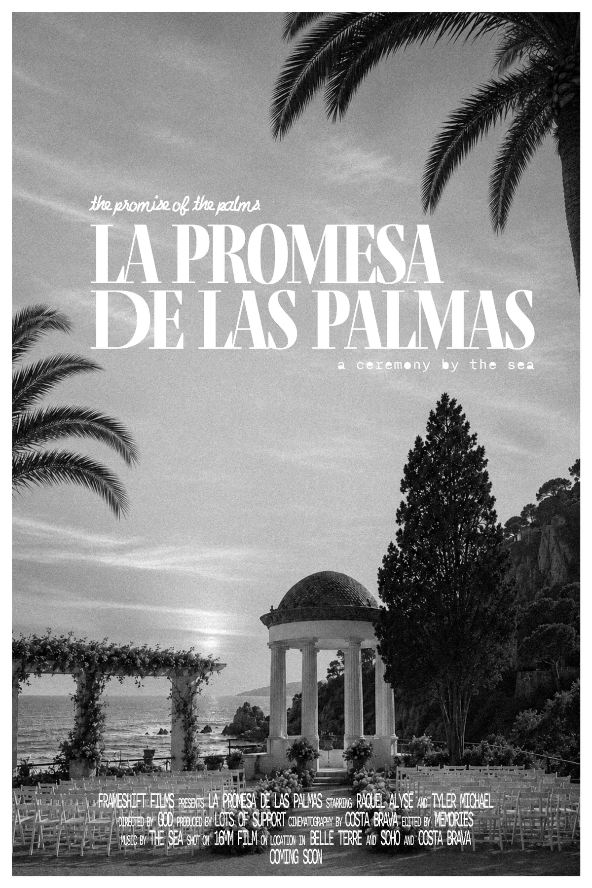 La Promesa de las Palmas poster